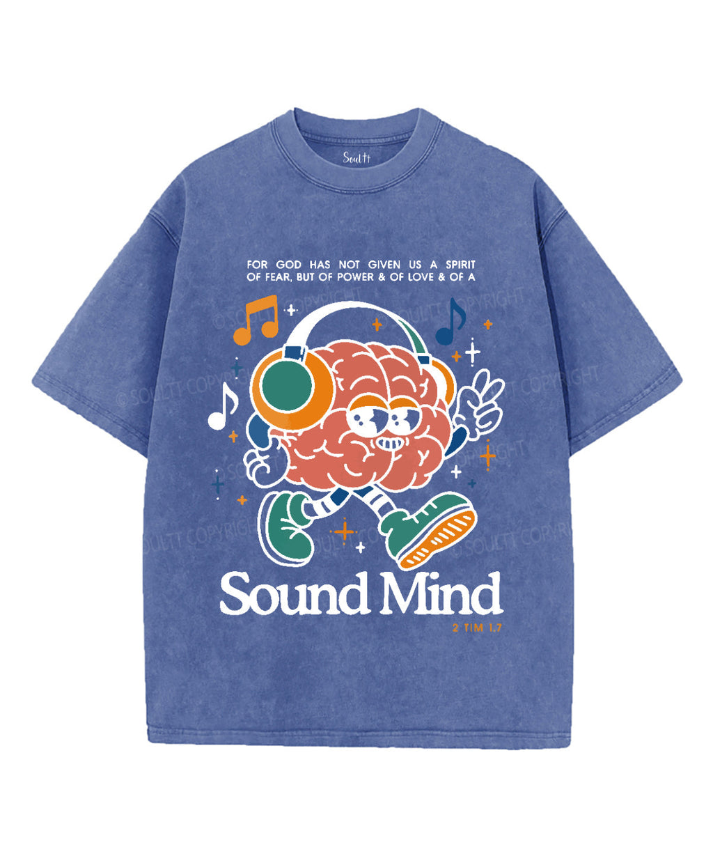 Sound Mind Unisex Washed Christian T-shirt Hoodie, Sweatshirt | CiraTrend.com (Image 4)