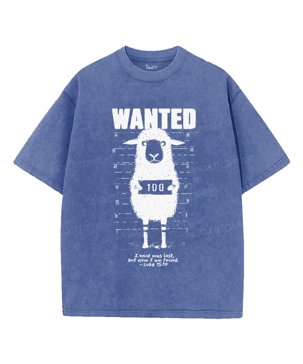 Now I Am Found Unisex Washed Christian T-shirt Hoodie, Sweatshirt | CiraTrend.com (Image 3)