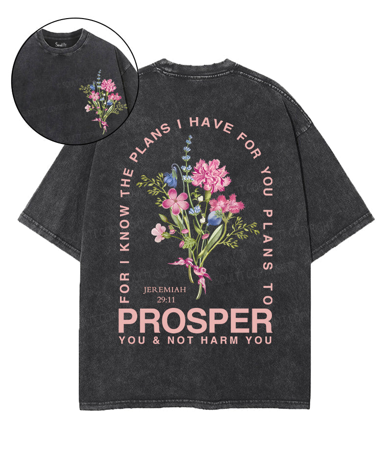 The Plan I Have For You Double Sided Unisex Washed Christian T-shirt Hoodie, Sweatshirt | CiraTrend.com (Image 1)