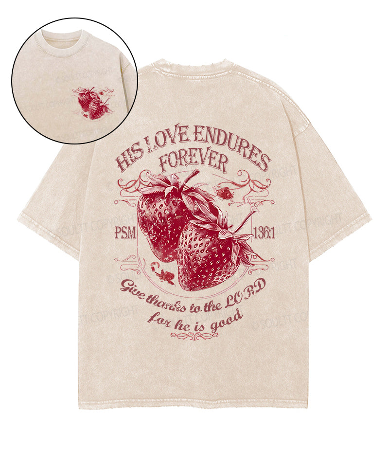 His Love Endures Forever Double Sided Unisex Washed Christian T-shirt Style006 Hoodie, Sweatshirt | CiraTrend.com (Image 1)