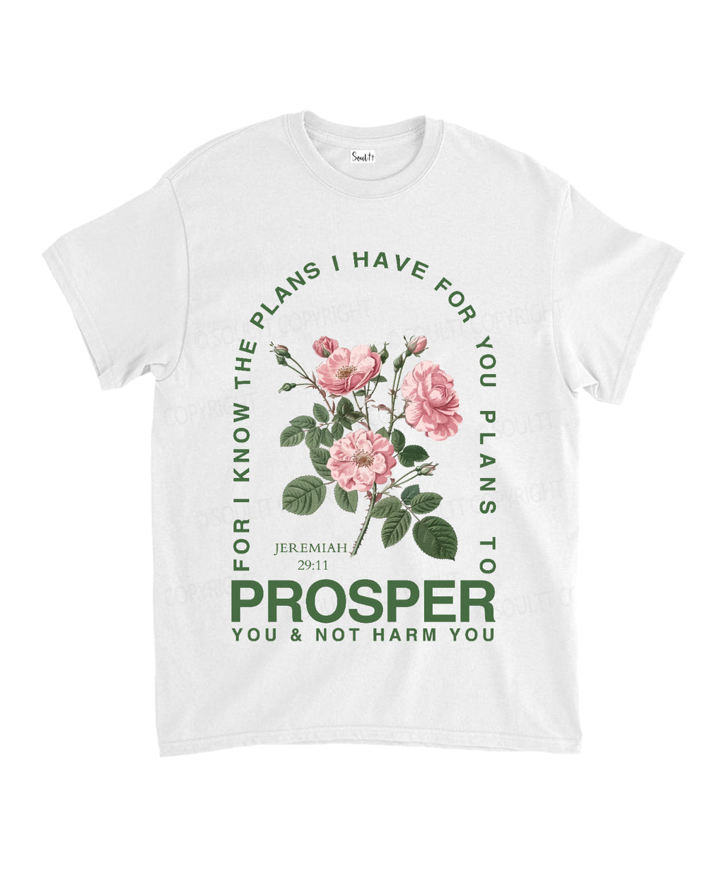 The Plans I Have For You Unisex Cotton Christian T-Shirt Hoodie, Sweatshirt | CiraTrend.com (Image 1)