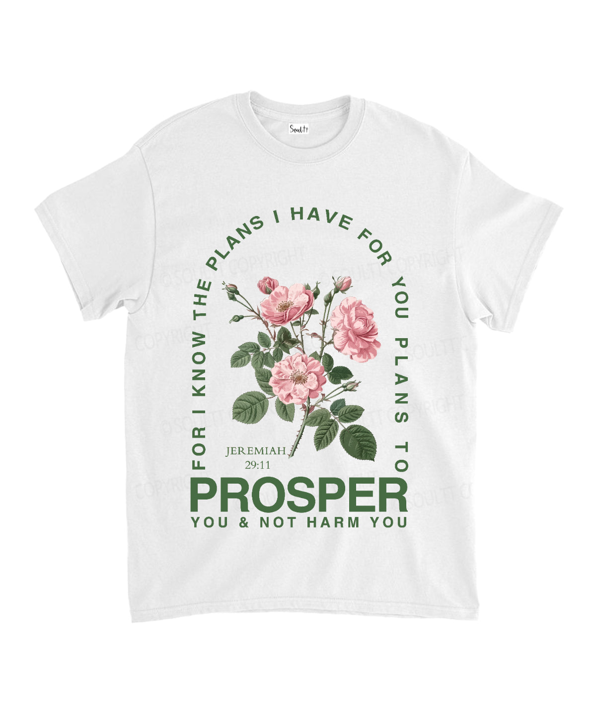 The Plans I Have For You Unisex Cotton Christian T-Shirt Hoodie, Sweatshirt | CiraTrend.com (Image 1)