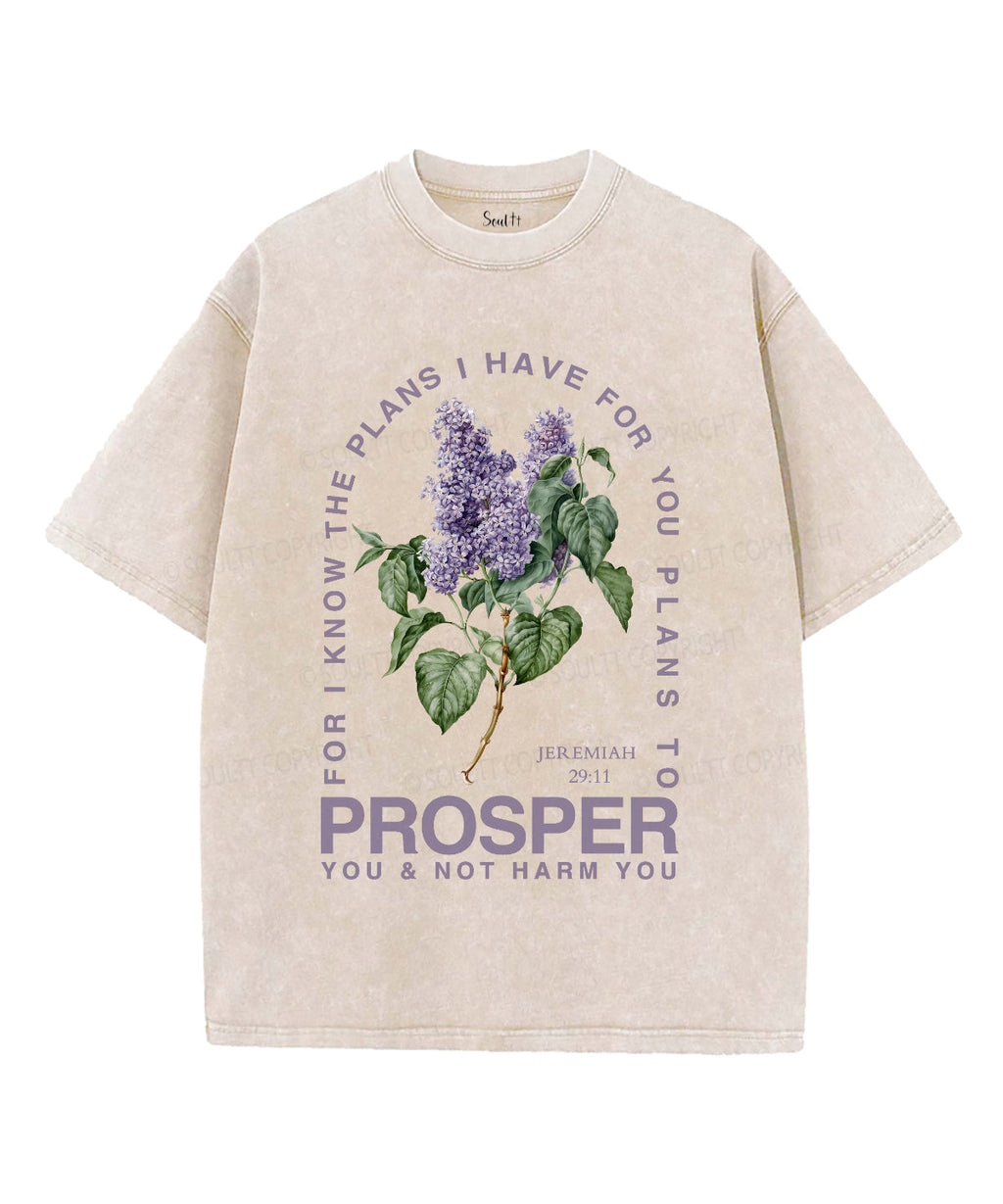 The Plans I Have For You Unisex Washed Christian T-shirt Hoodie, Sweatshirt | CiraTrend.com (Image 1)