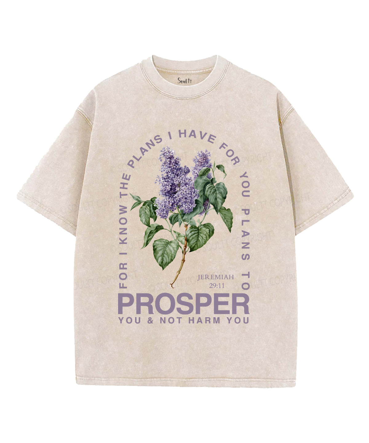 The Plans I Have For You Unisex Washed Christian T-shirt Hoodie, Sweatshirt | CiraTrend.com (Image 1)