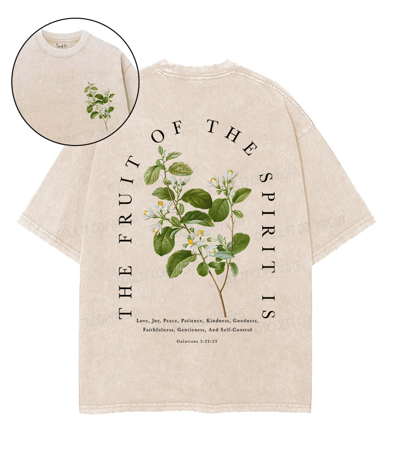Fruit Of The Spirit Double Sided Unisex Washed Christian T-shirt Style005 Hoodie, Sweatshirt | CiraTrend.com (Image 1)