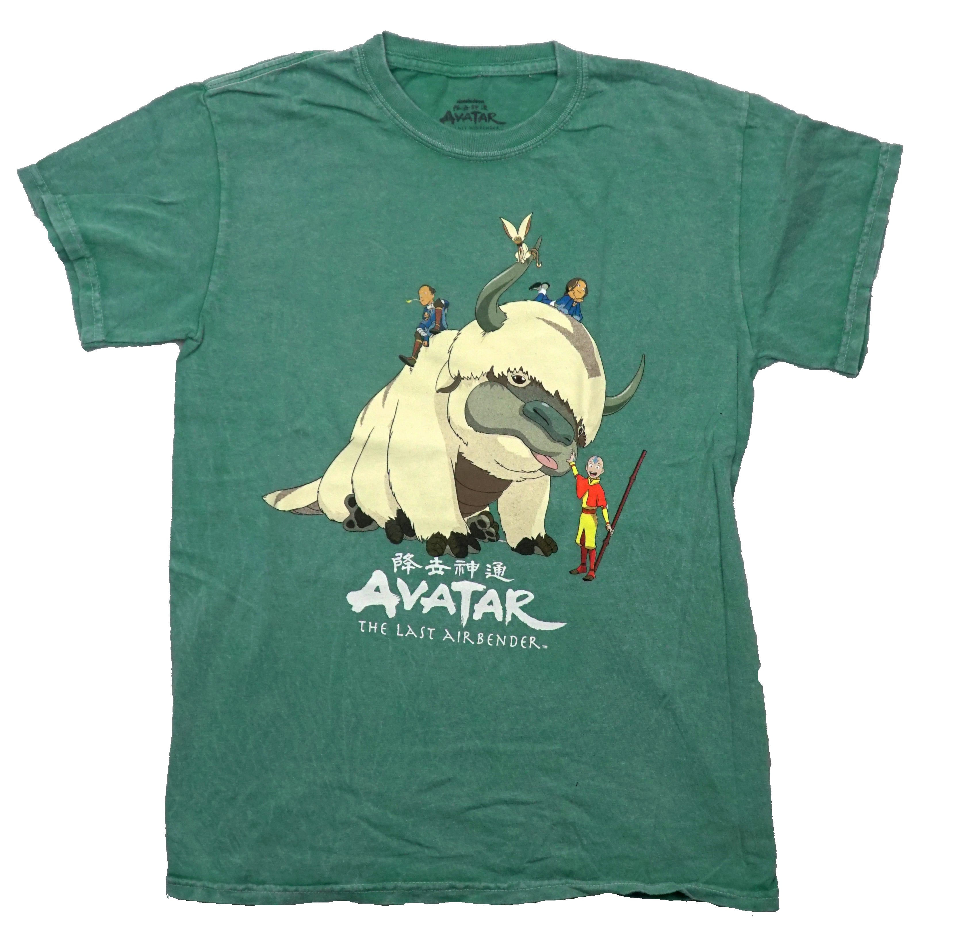 Avatar the Last Airbender Mens T-Shirt - Aang & Gang Sitting on Apa Hoodie, Sweatshirt | CiraTrend.com (Image 1)