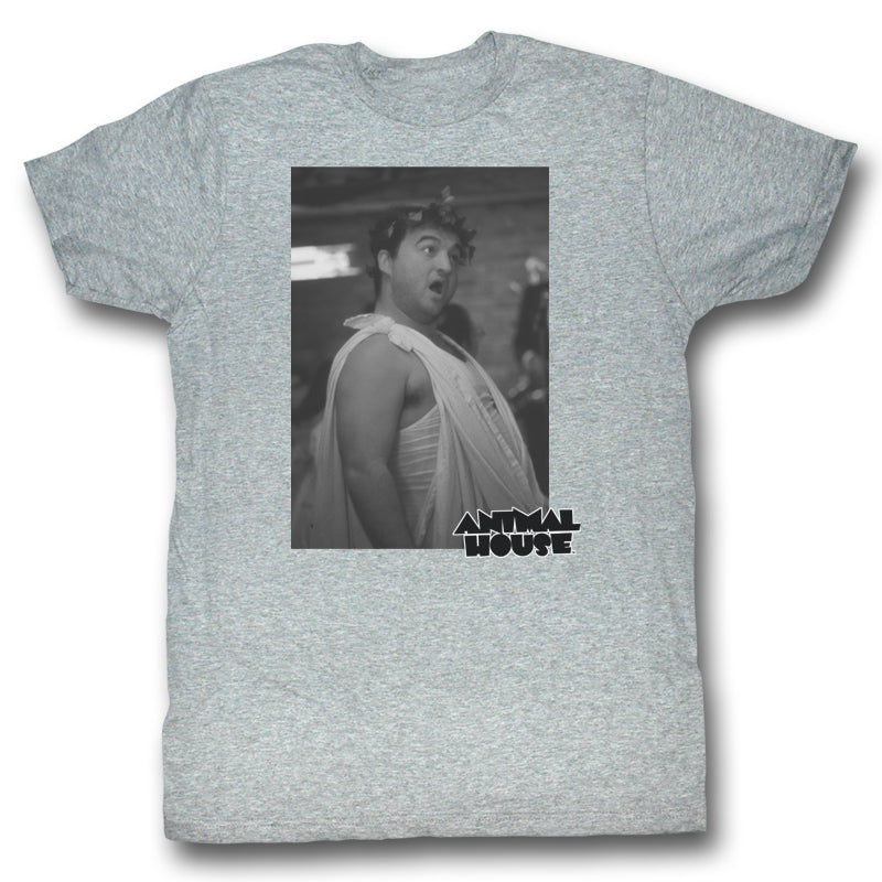 Animal House Mens S/S T-Shirt - Toga Photo - Heather Gray Heather Hoodie, Sweatshirt | CiraTrend.com