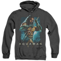 Aquaman Movie Trident - Heather Pullover Hoodie T-Shirts, Sweatshirt | CiraTrend.com