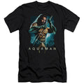 Aquaman Movie Trident Premium Bella Canvas Slim Fit Mens T Shirt Black Hoodie, Sweatshirt | CiraTrend.com
