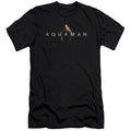 Aquaman Movie Logo Hbo Premium Bella Canvas Slim Fit Mens T Shirt Black Hoodie, Sweatshirt | CiraTrend.com (Image 1)