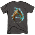 Aquaman Movie Water Shield Mens T Shirt Charcoal Hoodie, Sweatshirt | CiraTrend.com
