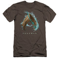 Aquaman Movie Water Shield Premium Bella Canvas Slim Fit Mens T Shirt Charcoal Hoodie, Sweatshirt | CiraTrend.com
