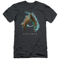 Aquaman Movie Water Shield Slim Fit Mens T Shirt Charcoal Hoodie, Sweatshirt | CiraTrend.com