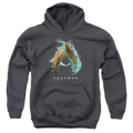 Aquaman Movie Water Shield - Youth Hoodie T-Shirts, Sweatshirt | CiraTrend.com
