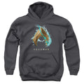 Aquaman Movie Water Shield Kids Youth Hoodie Charcoal T-Shirts, Sweatshirt | CiraTrend.com
