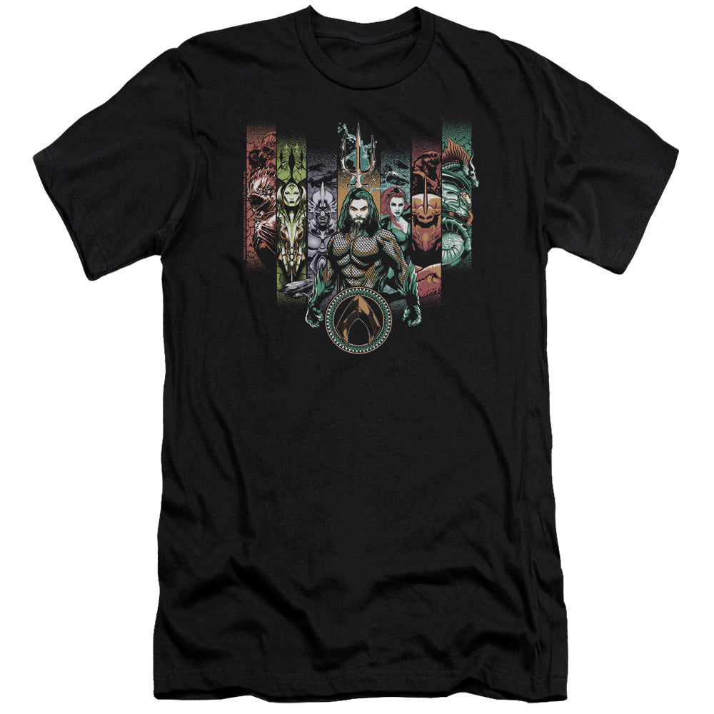 Aquaman Movie Unite The Kingdoms Hbo Premium Bella Canvas Slim Fit Mens T Shirt Black Hoodie, Sweatshirt (Image 2)