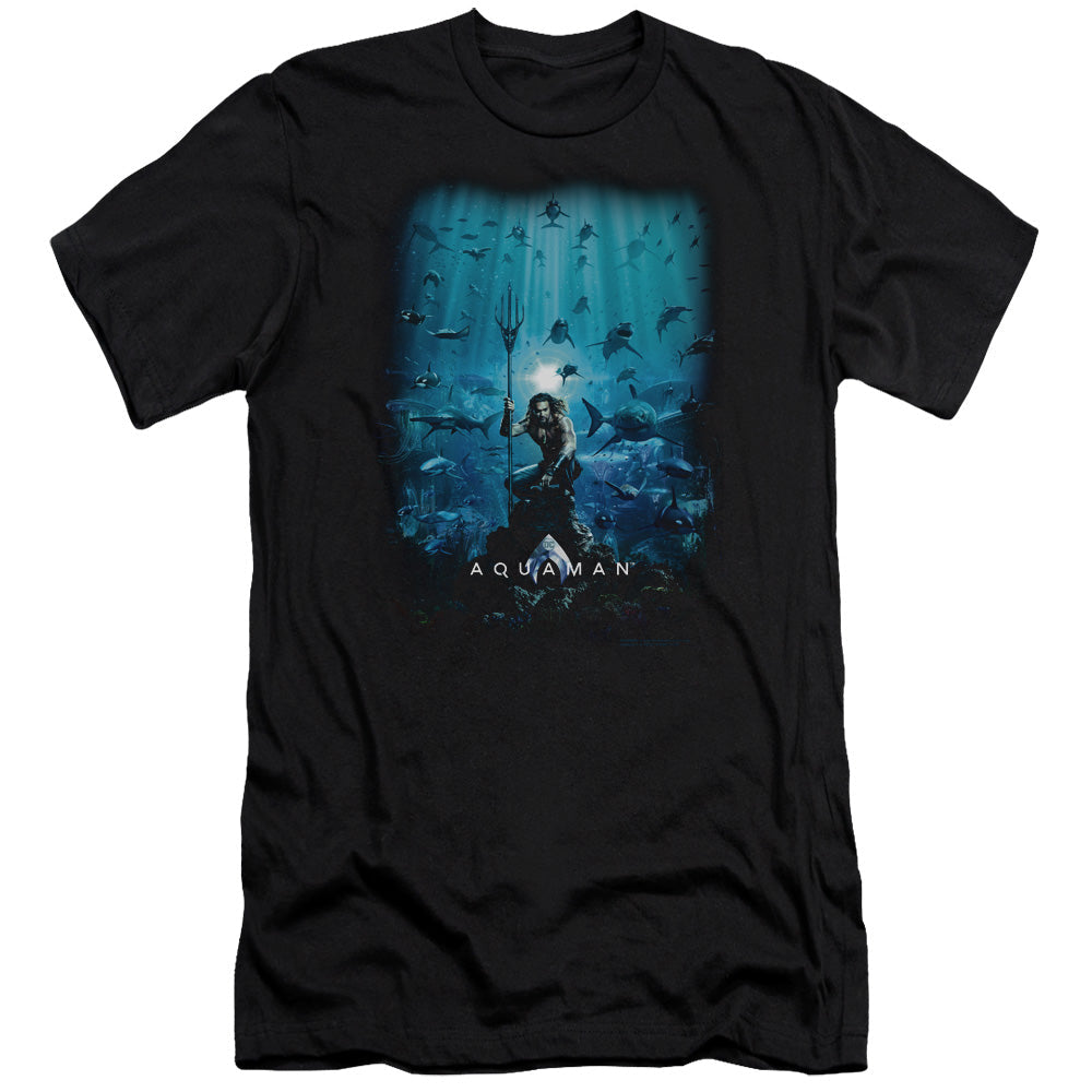 Aquaman Movie Poster Hbo Premium Bella Canvas Slim Fit Mens T Shirt Black Hoodie, Sweatshirt | CiraTrend.com (Image 1)
