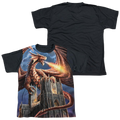 Anne Stokes Dragons Fury - Youth Black Back T-Shirt (Ages 8-12) Hoodie, Sweatshirt | CiraTrend.com