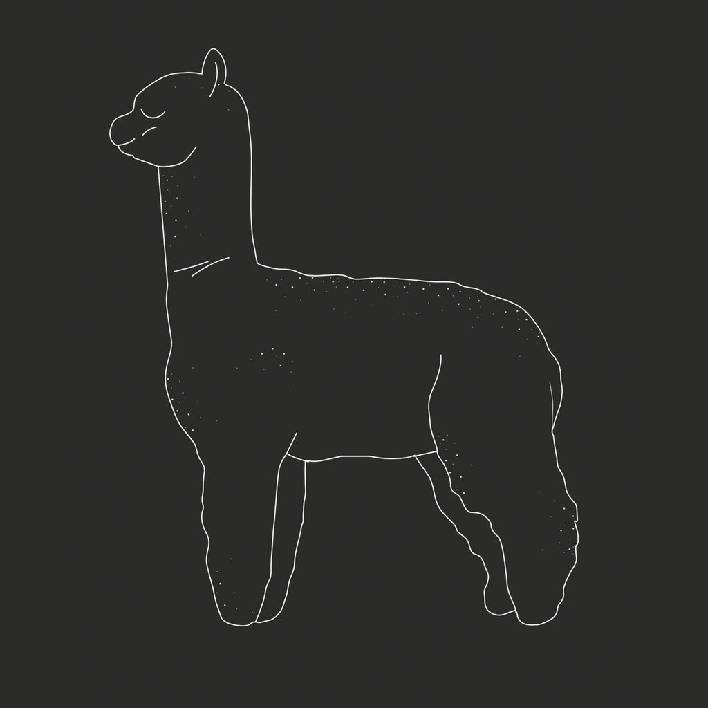 Alpaca Tee Hoodie, Sweatshirt | CiraTrend.com (Image 5)