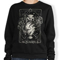 Aquarius (Edu.Ely) - Sweatshirt T-Shirts, Hoodie | CiraTrend.com (Image 1)