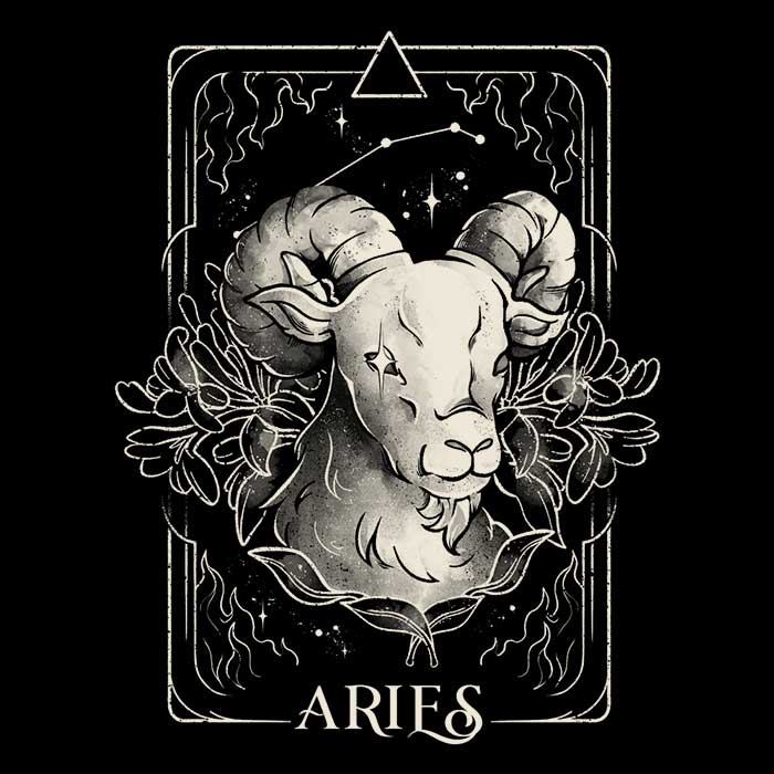 Aries (Edu.Ely) - Men's Apparel T-Shirts, Hoodie, Sweatshirt | CiraTrend.com (Image 2)