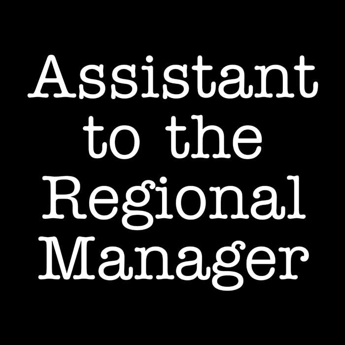 Assistant to the Regional Manager - Long Sleeve T-Shirt Hoodie, Sweatshirt | CiraTrend.com (Image 2)