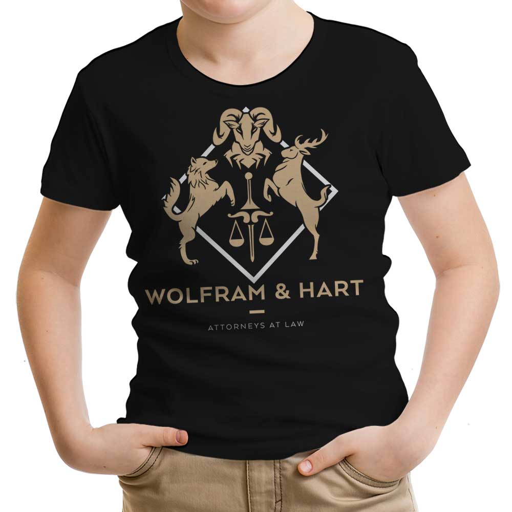 Attorneys at Law - Youth Apparel T-Shirts, Hoodie, Sweatshirt | CiraTrend.com (Image 3)