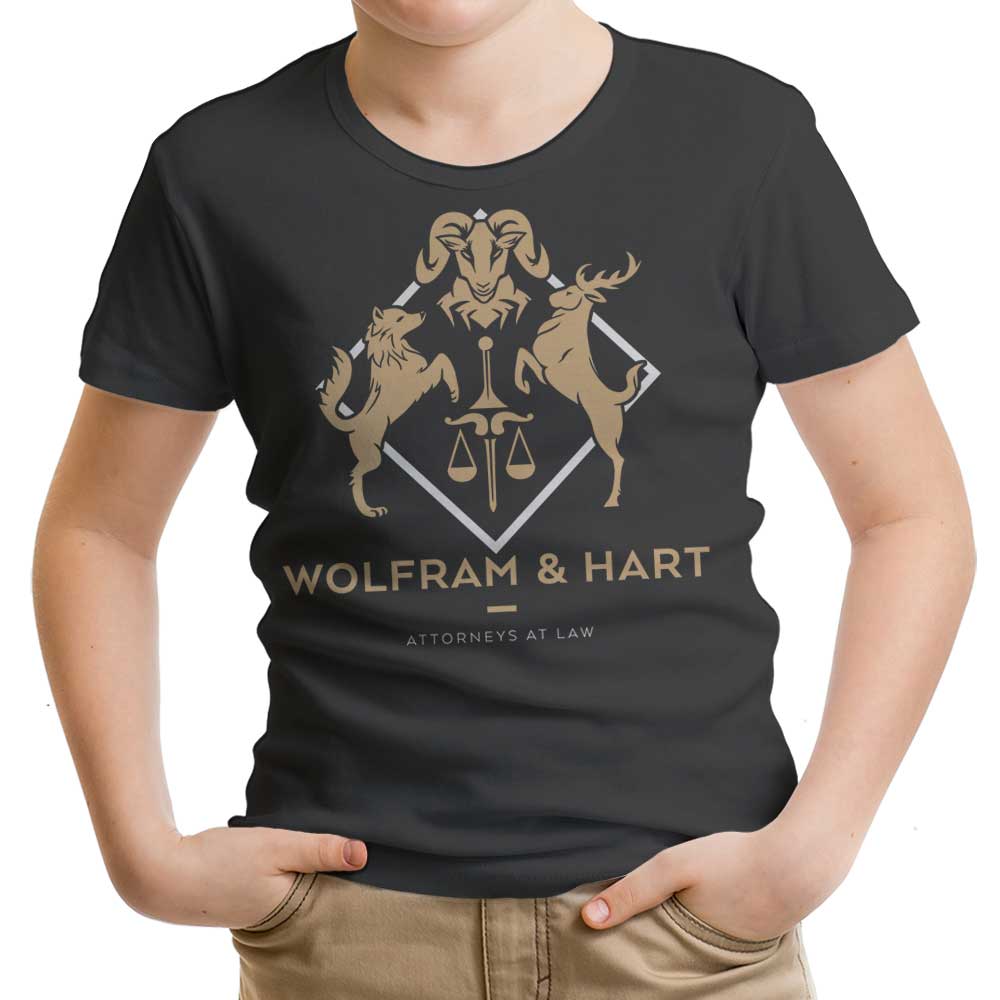 Attorneys at Law - Youth Apparel T-Shirts, Hoodie, Sweatshirt | CiraTrend.com (Image 4)