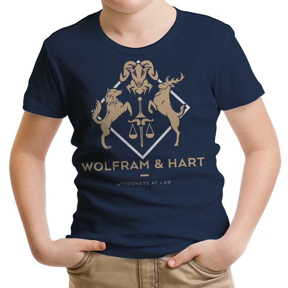 Attorneys at Law - Youth Apparel T-Shirts, Hoodie, Sweatshirt | CiraTrend.com (Image 1)