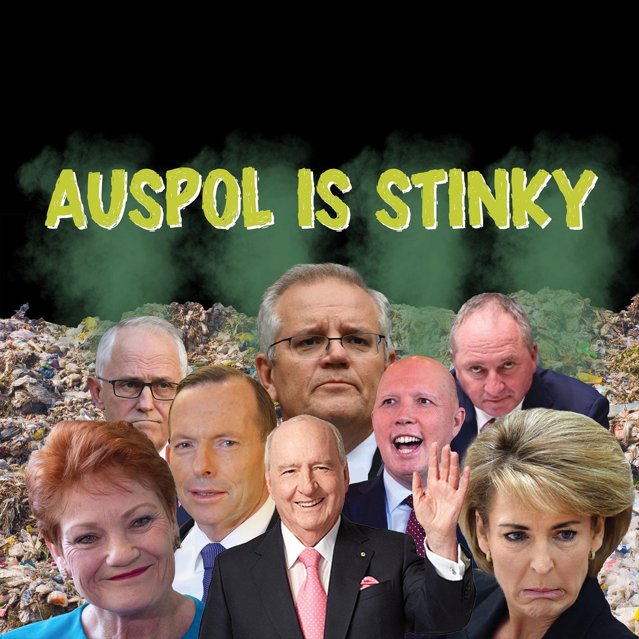 AusPol Is Stinky Tee Hoodie, Sweatshirt | CiraTrend.com (Image 5)