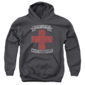 Bon Jovi Bad Medicine - Youth Hoodie T-Shirts, Sweatshirt | CiraTrend.com