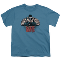 Bane Bane Pump You Up - Youth T-Shirt Hoodie, Sweatshirt | CiraTrend.com