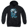 Catwoman Moonlight Cat - Youth Hoodie T-Shirts, Sweatshirt | CiraTrend.com