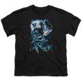 Catwoman Moonlight Cat - Youth T-Shirt Hoodie, Sweatshirt | CiraTrend.com