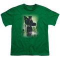 Catwoman Catwoman #63 Cover - Youth T-Shirt Hoodie, Sweatshirt | CiraTrend.com