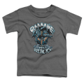 Bane Bane Will Break You - Toddler T-Shirt Hoodie, Sweatshirt | CiraTrend.com
