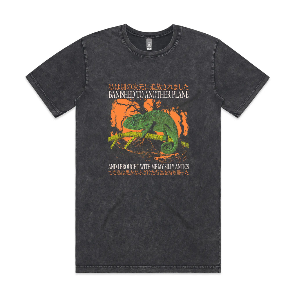 Banished To Another Plane Tee Hoodie, Sweatshirt | CiraTrend.com (Image 2)
