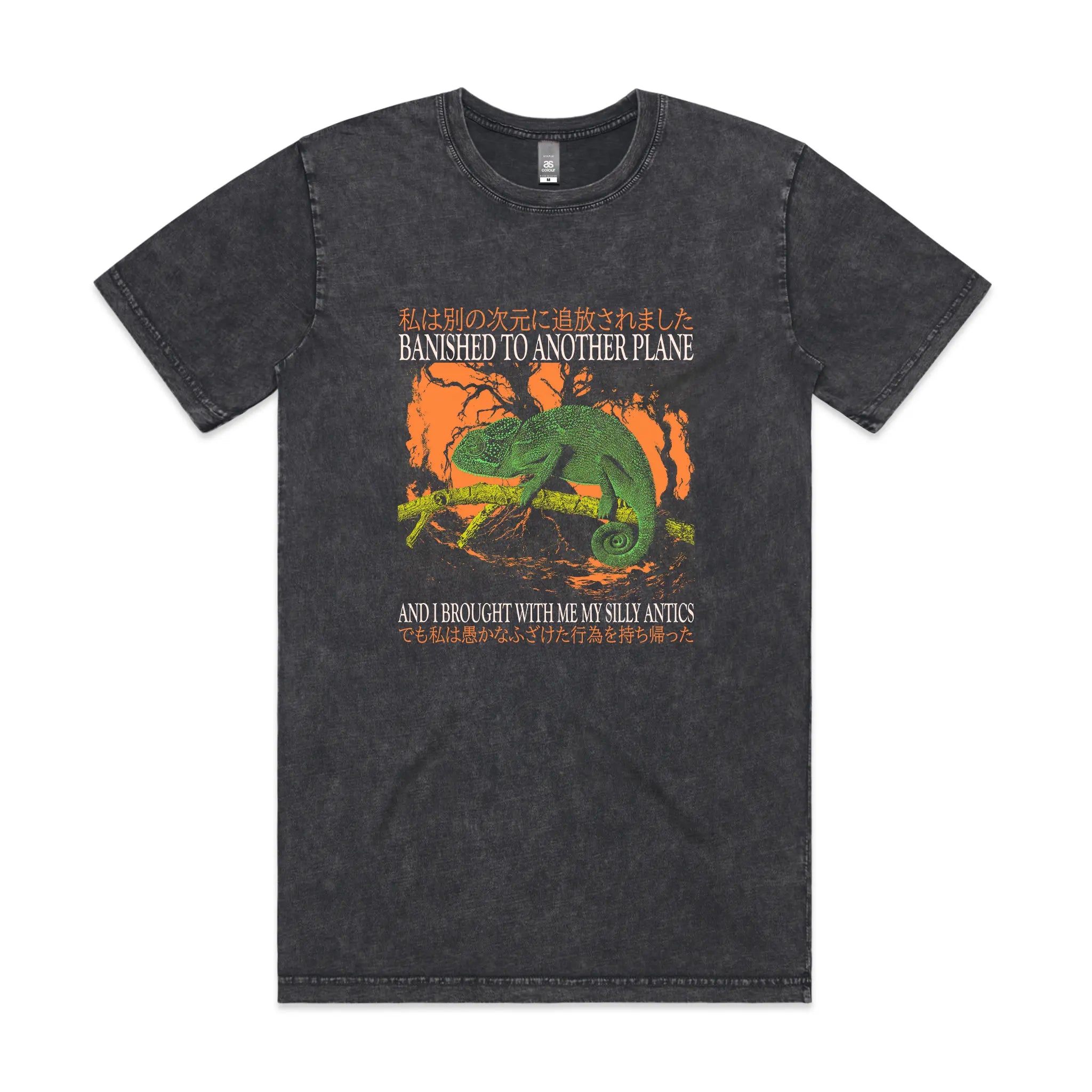Banished To Another Plane Tee Hoodie, Sweatshirt | CiraTrend.com (Image 2)