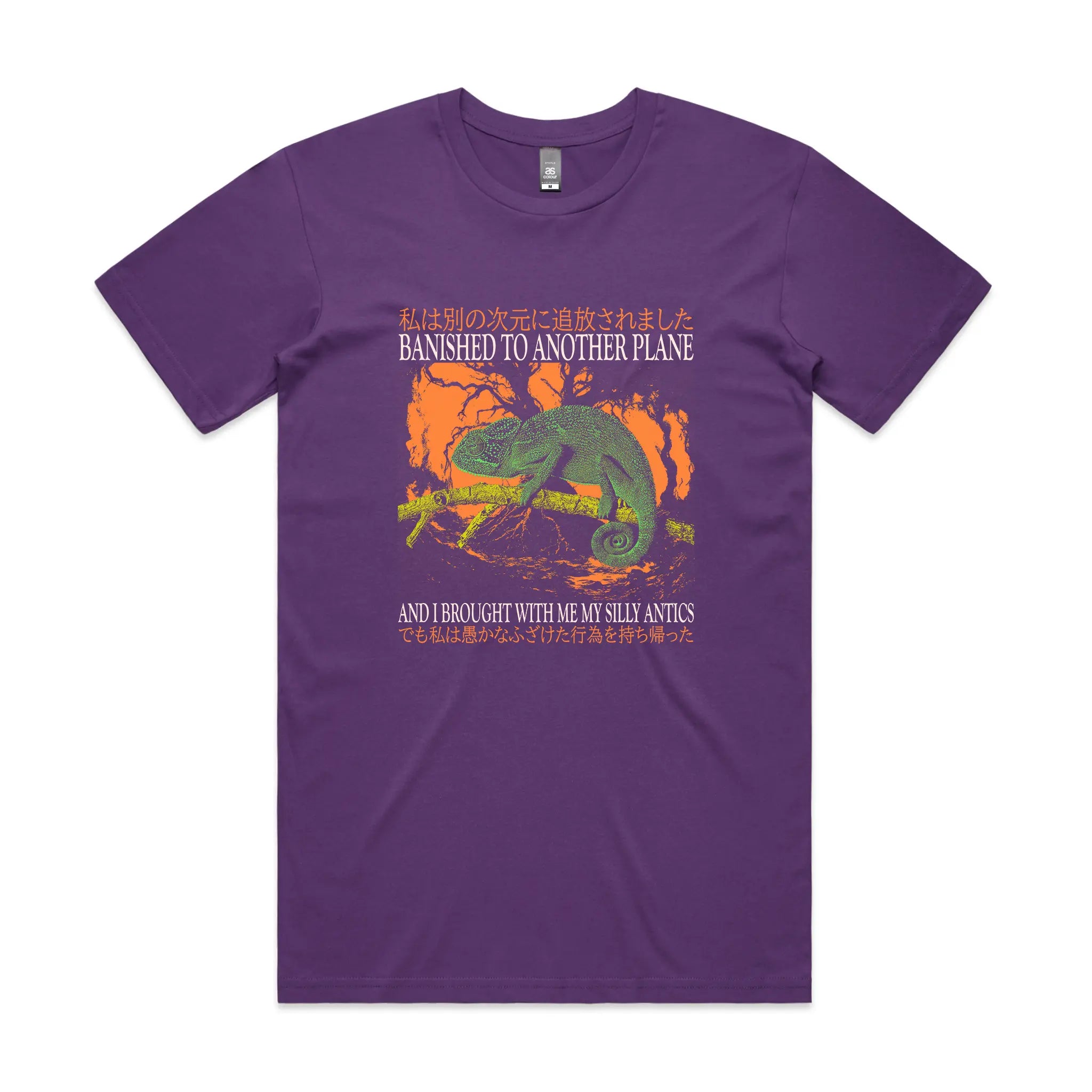 Banished To Another Plane Tee Hoodie, Sweatshirt | CiraTrend.com (Image 3)