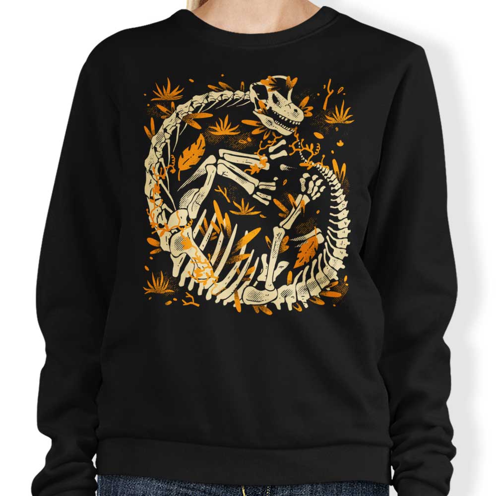 Brachio Fossils - Sweatshirt T-Shirts, Hoodie | CiraTrend.com (Image 1)