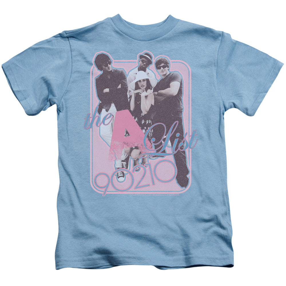 90210 the a List Juvenile Kids Youth T Shirt Carolina Blue Hoodie, Sweatshirt | CiraTrend.com (Image 1)