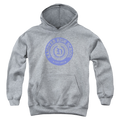 American Vandal Hanover Seal - Youth Hoodie T-Shirts, Sweatshirt | CiraTrend.com