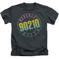 90210 Color Blend Logo Juvenile Kids Youth T Shirt Charcoal Hoodie, Sweatshirt | CiraTrend.com (Image 1)
