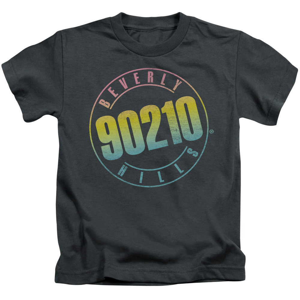 90210 Color Blend Logo Juvenile Kids Youth T Shirt Charcoal Hoodie, Sweatshirt | CiraTrend.com (Image 1)