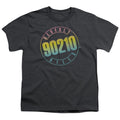 90210 Color Blend Logo Kids Youth T Shirt Charcoal Hoodie, Sweatshirt | CiraTrend.com (Image 1)