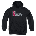 Chevrolet Chrome Script - Youth Hoodie (Ages 8-12) T-Shirts, Sweatshirt | CiraTrend.com