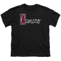 Chevrolet Chrome Script - Youth T-Shirt (Ages 8-12) Hoodie, Sweatshirt | CiraTrend.com