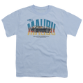 Chevrolet Thumbs Up - Youth T-Shirt (Ages 8-12) Hoodie, Sweatshirt | CiraTrend.com