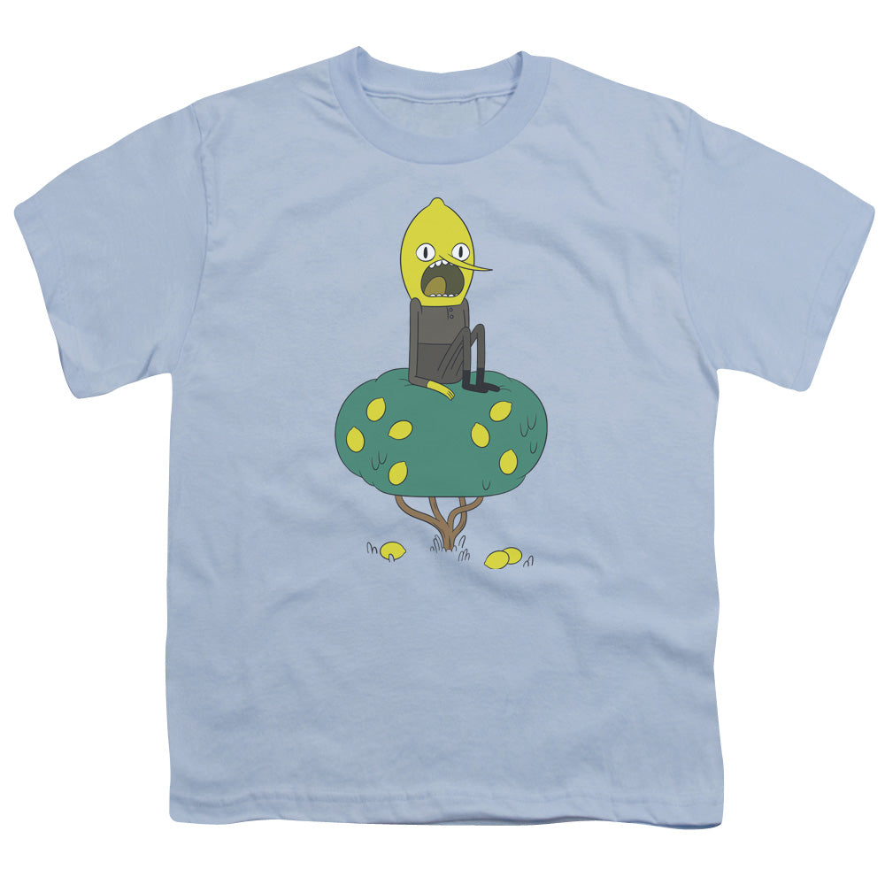 Adventure Time Lemongrab Kids Youth T Shirt Light Blue Hoodie, Sweatshirt | CiraTrend.com