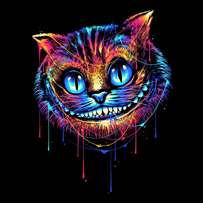 Colorful Cat - Youth Apparel T-Shirts, Hoodie, Sweatshirt | CiraTrend.com (Image 2)